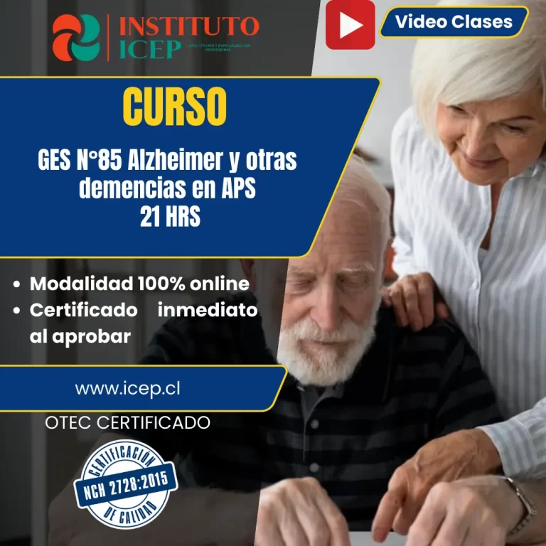 GES N°85 Alzheimer y otras demencias